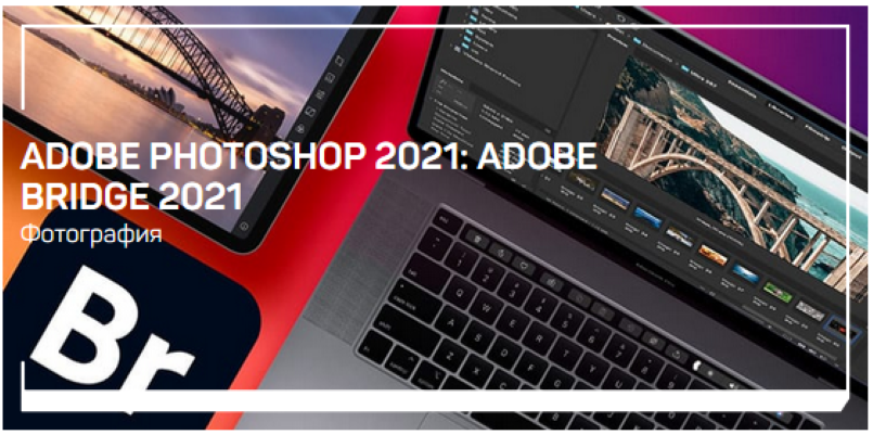 [Андрей Журавлев] Adobe Photoshop 2021_ Adobe Brid_0.png